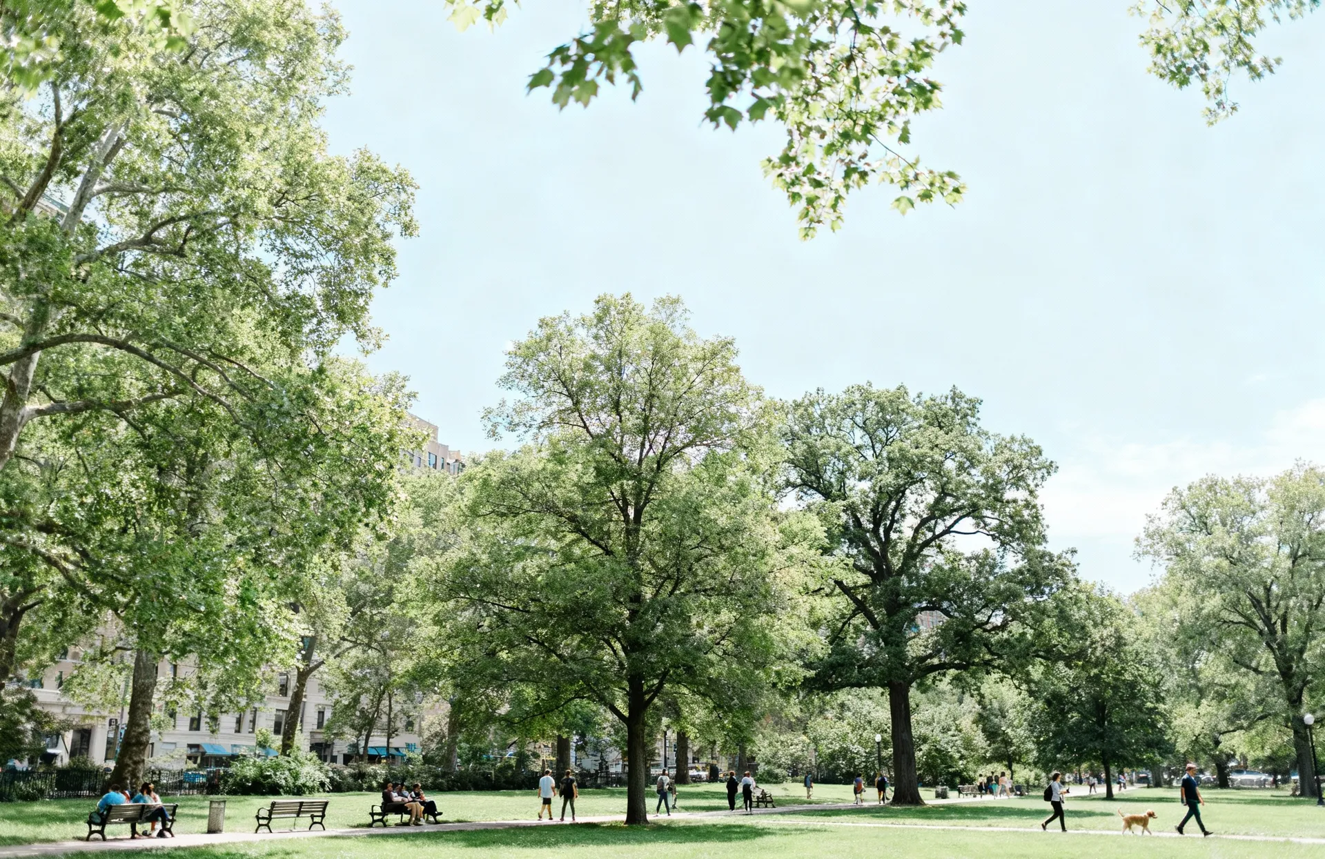 Wie Luftverschmutzung das Gehör schädigt – Neue Forschungsergebnisse und Schutzmaßnahmen